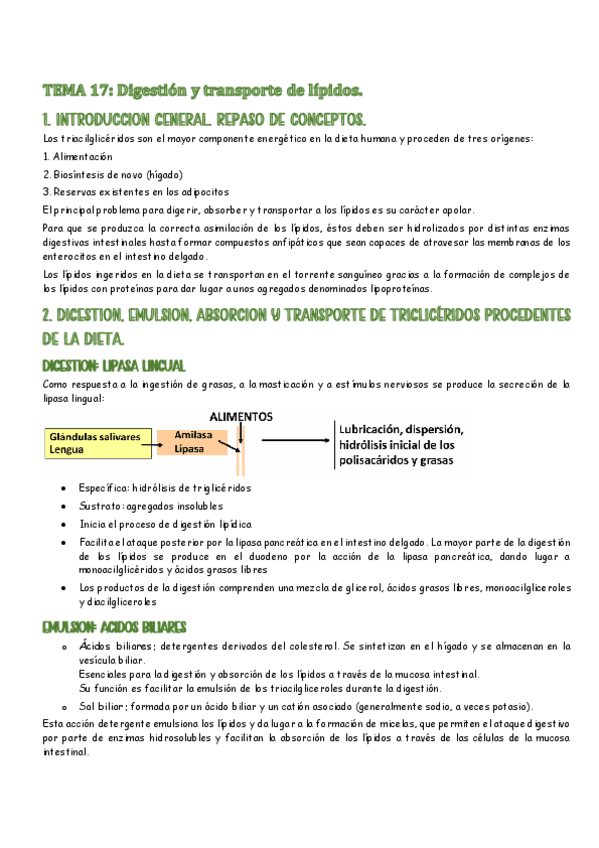 Miniatura del documento tema-17-Digestion-y-transporte-de-lipidos.-BCM.pdf