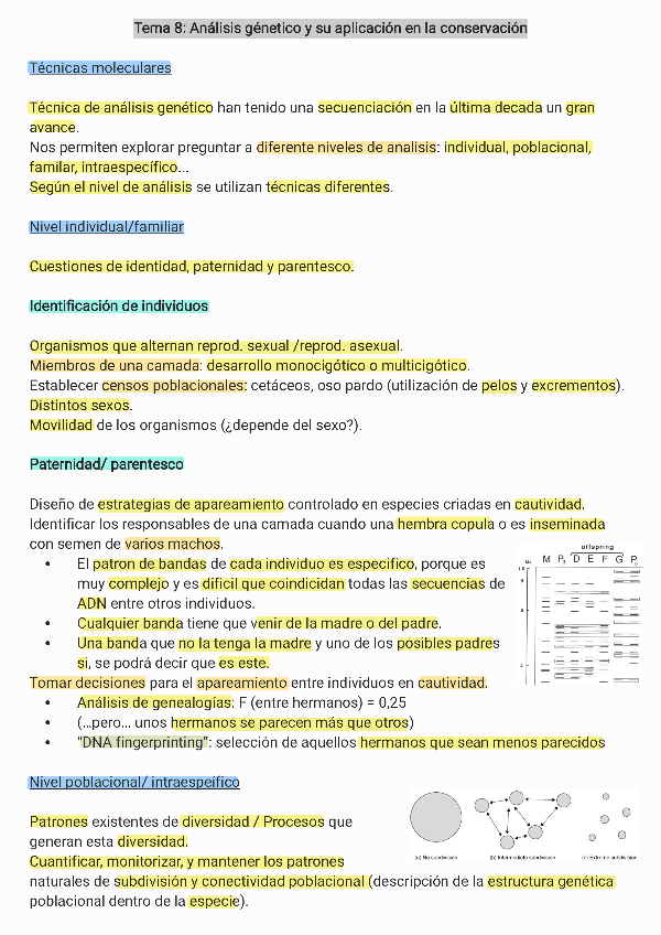 Miniatura del documento Tema-8.pdf