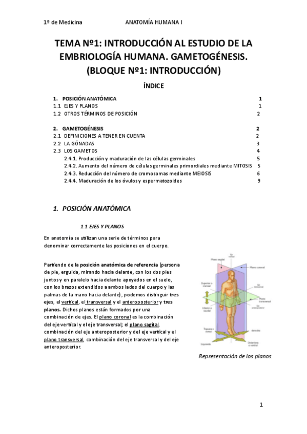 Miniatura del documento TEMA-No1.pdf
