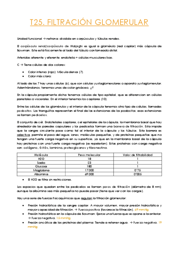Miniatura del documento T25.-Filtracion-glomerular.pdf