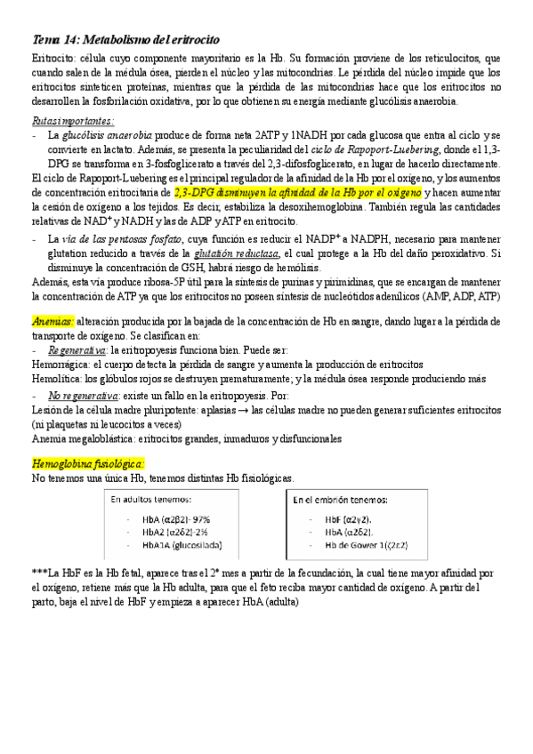 Miniatura del documento Tema-14.-Metabolismo-del-eritrocito-y-alteraciones-de-la-hemoglobina.pdf