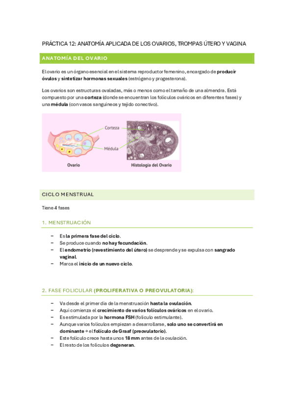 Miniatura del documento PRACTICA-12.pdf