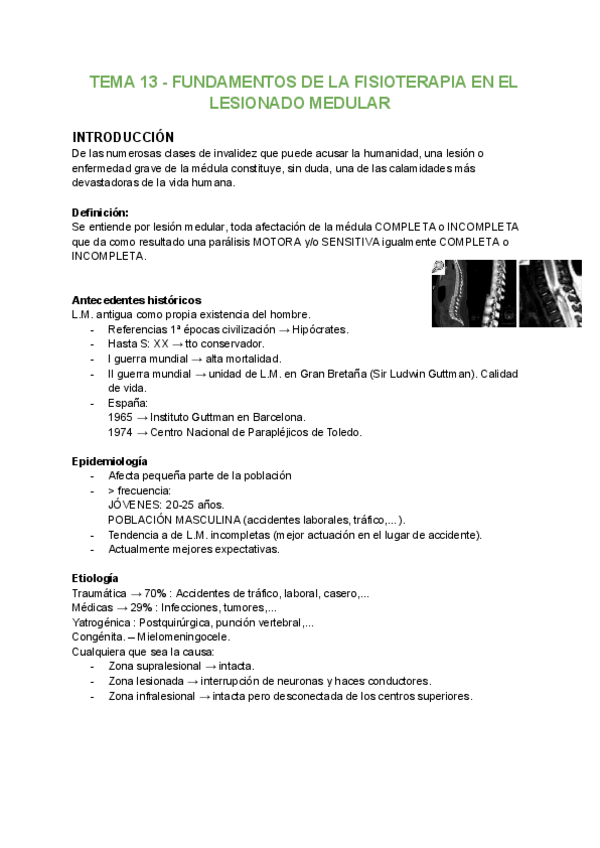 Miniatura del documento TEMA-13-FUNDAMENTOS-DE-LA-FISIOTERAPIA-EN-EL-LESIONADO-MEDULAR.pdf
