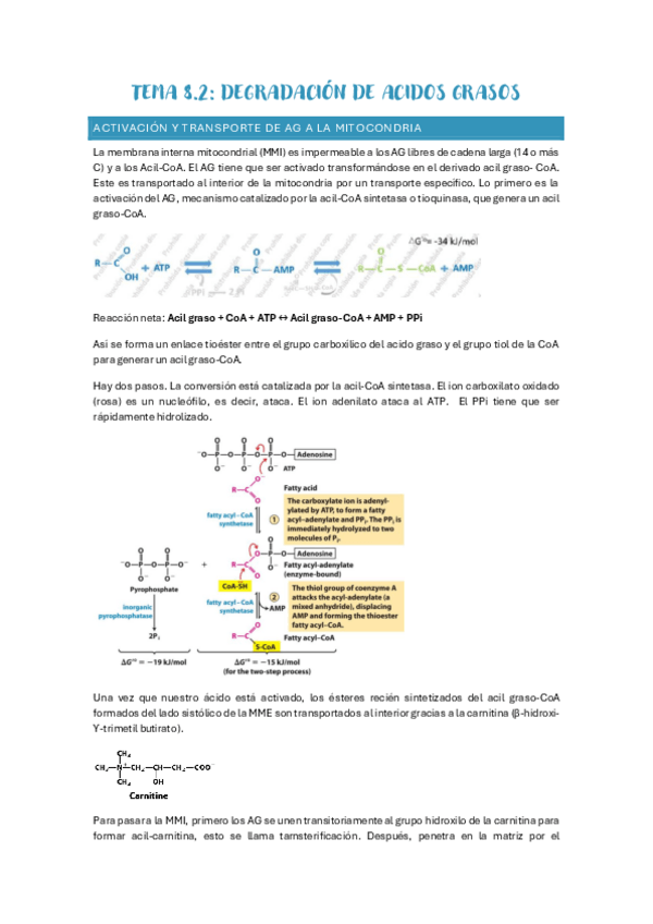 Miniatura del documento Tema-8.1-Degradacion-AG.pdf