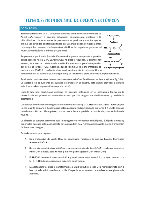 Miniatura del documento Tema-8.2-Metabolismo-cuerpos-cetonicos.pdf