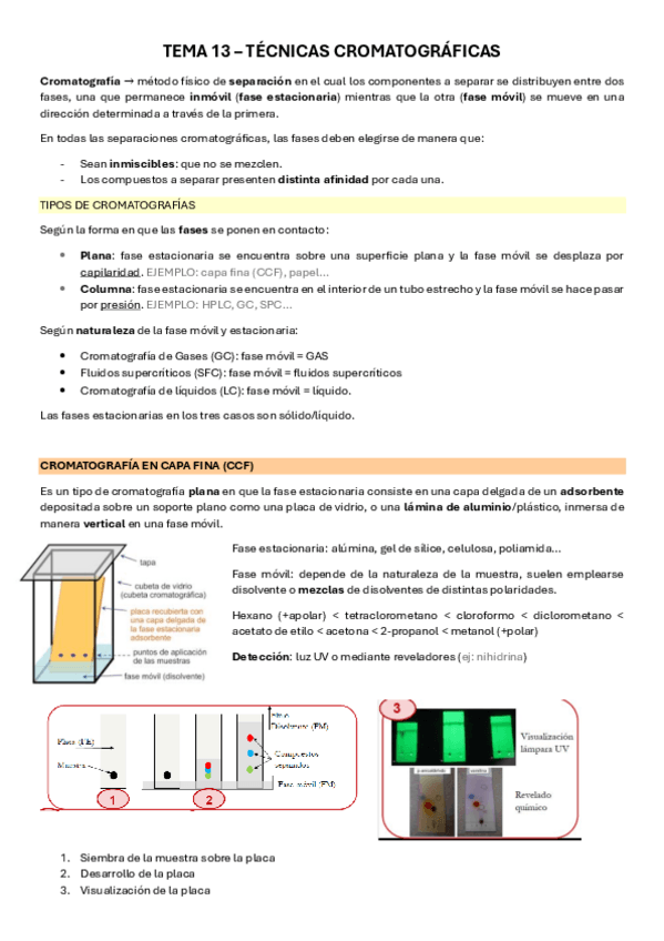 Miniatura del documento TEMA-13Cromatografias.pdf