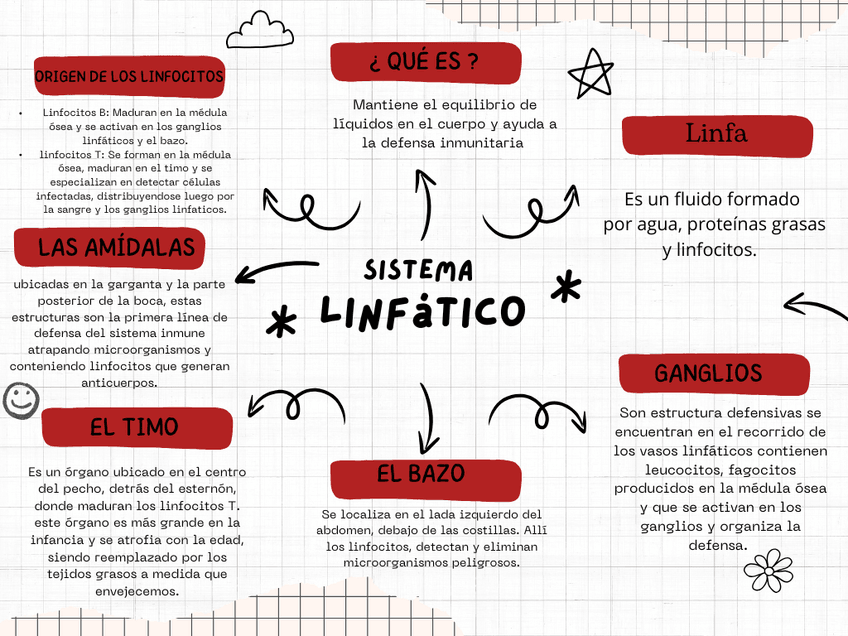 Miniatura del documento Copia-de-sistema-circulatorio.png