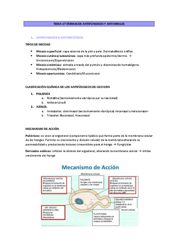 Miniatura del documento TEMA-17-FARMACOS-ANTIFUNGICOS-Y-ANTIVIRALES.pdf