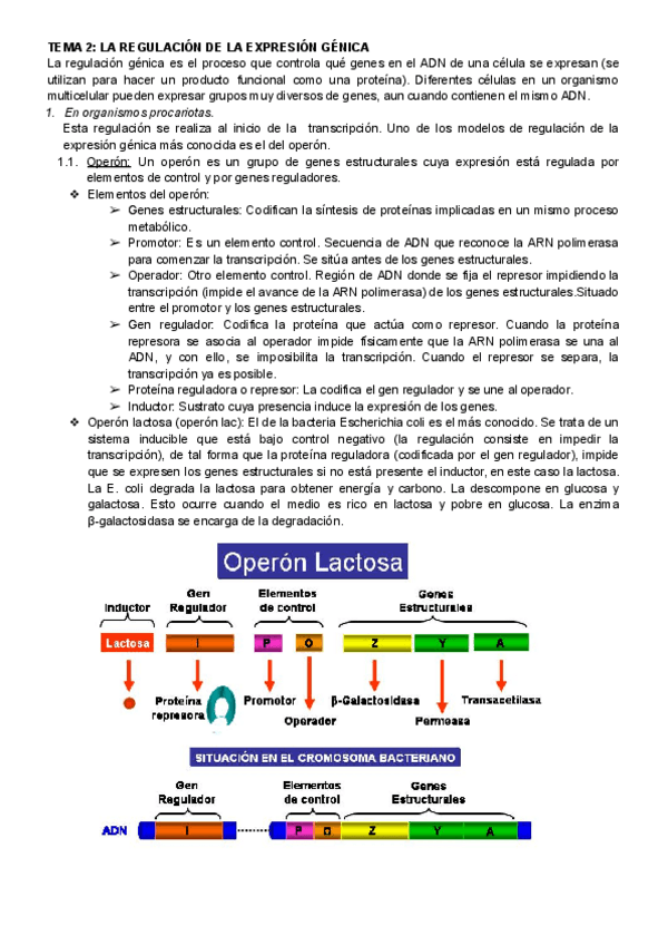 Miniatura del documento Tema-2-La-regulacion-de-la-expresion-genica.pdf