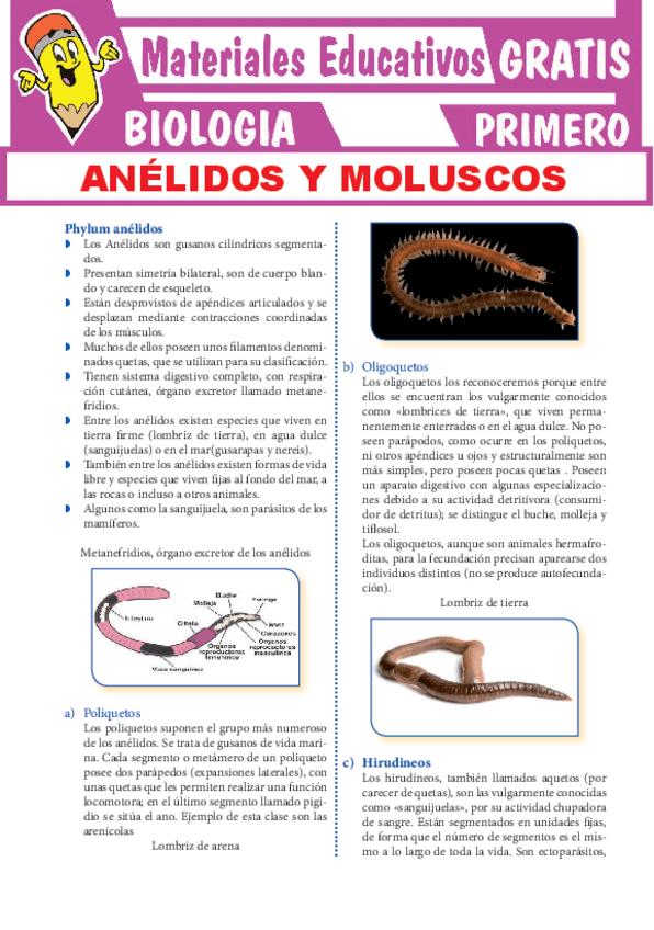 Miniatura del documento Anelidos-y-Moluscos-para-Primero-Grado-de-Secundaria.pdf