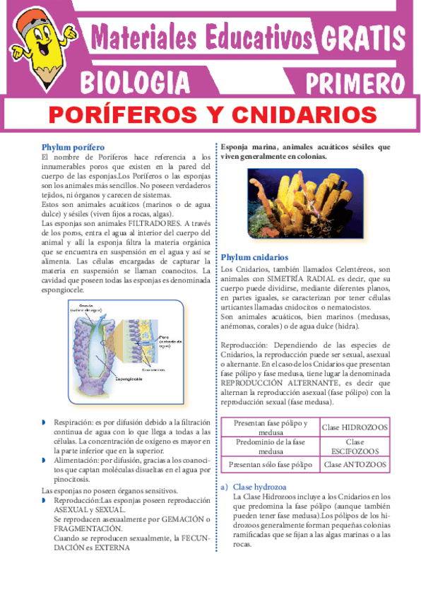 Miniatura del documento Poriferos-y-Cnidarios-para-Primero-de-Secundaria.pdf