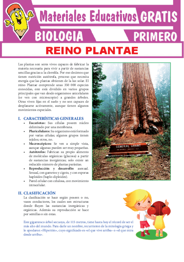 Miniatura del documento Reino-Plantae-para-Primero-de-Secundaria.pdf