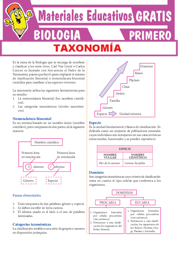 Miniatura del documento Que-Estudia-la-Taxonomia-para-Primero-de-Secundaria.pdf