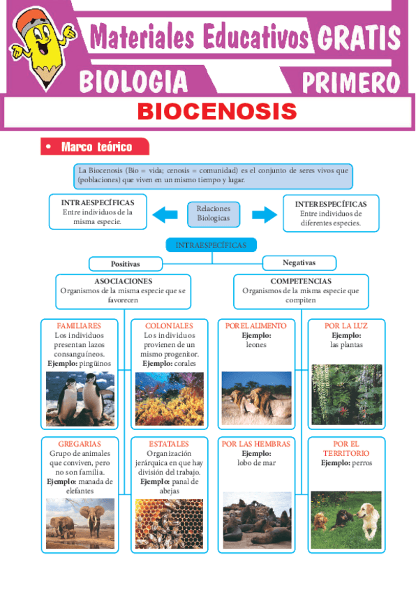 Miniatura del documento Biocenosis-para-Primero-Grado-de-Secundaria.pdf