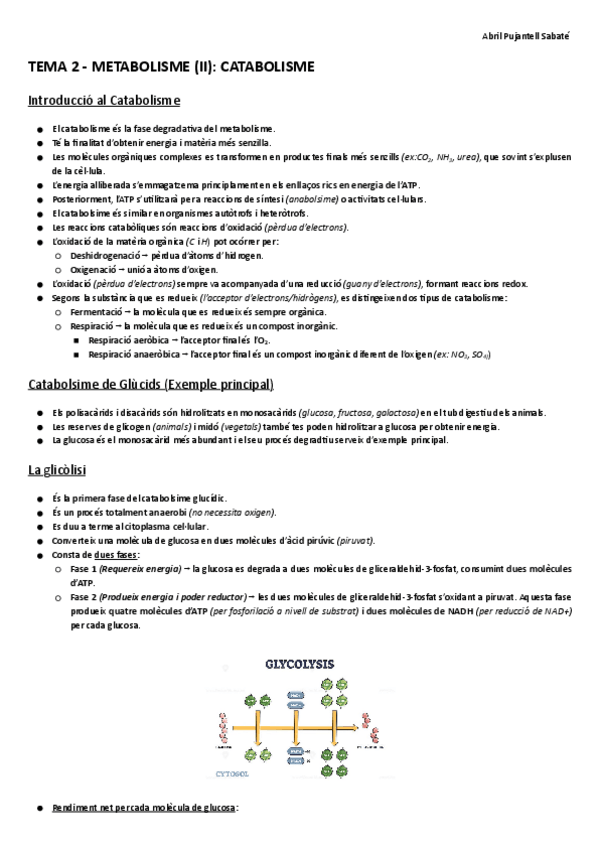 Miniatura del documento TEMA-2-METABOLISME-II-CATABOLISME-apunts.pdf