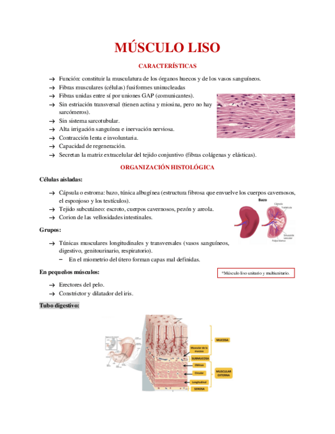 Miniatura del documento TEJIDO-MUSCULAR-LISO.pdf