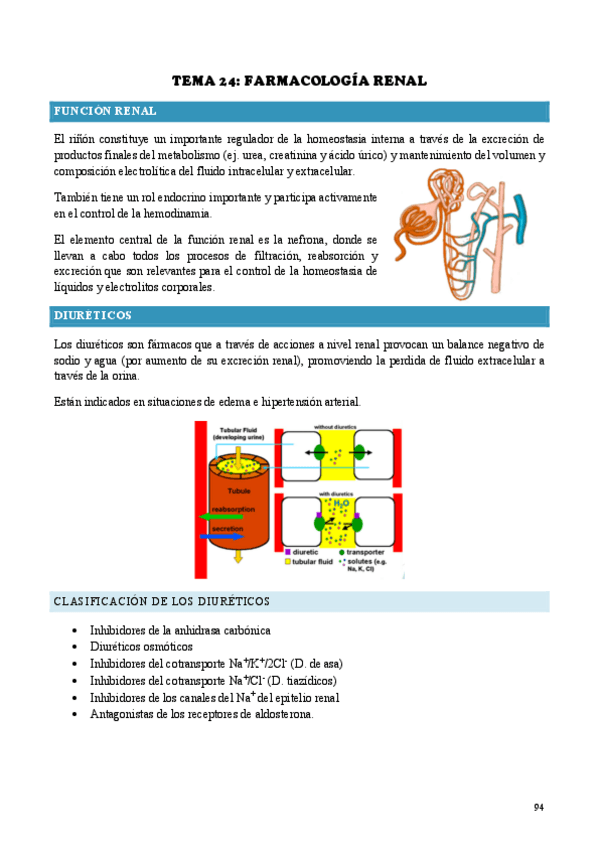 Miniatura del documento TEMA-24.pdf