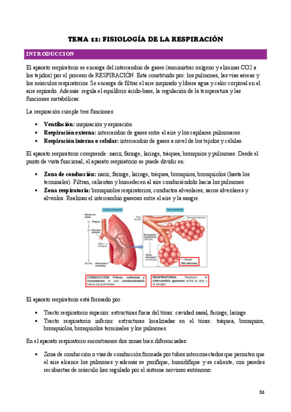 Miniatura del documento TEMA-11.pdf