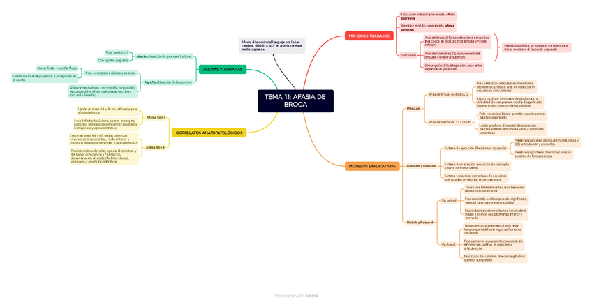Miniatura del documento TEMA-11-AFASIA-DE-BROCA.pdf