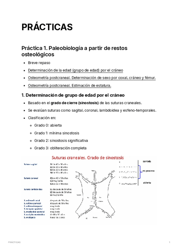 Miniatura del documento PRACTICAS.pdf