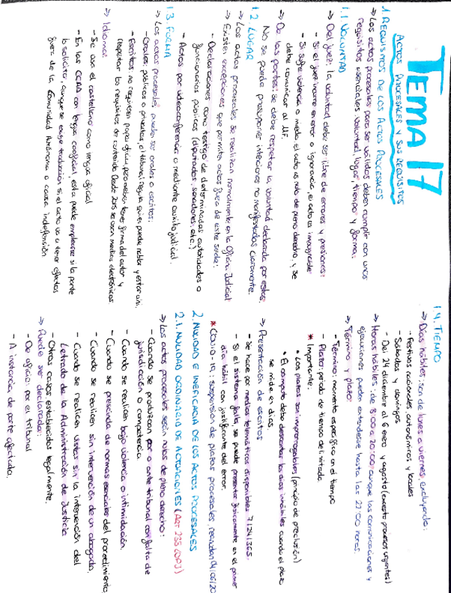 Miniatura del documento TEMA-17-PROCESAL.pdf
