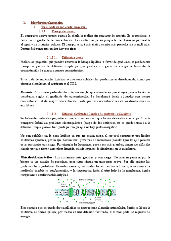 Miniatura del documento Biologia-1o-Bachillerato-I.pdf