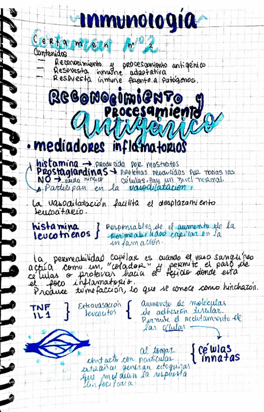 Miniatura del documento Apuntes-Inmuno-C2.pdf