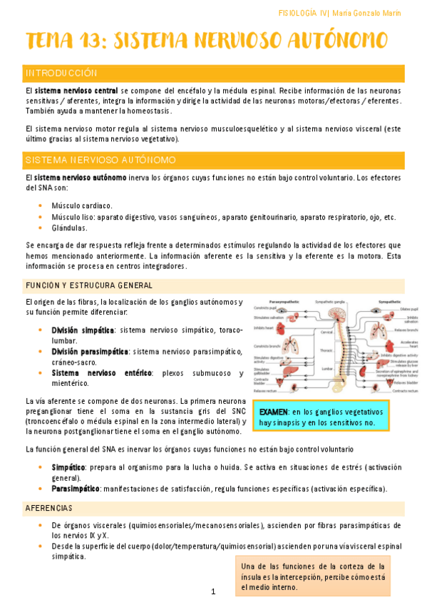 Miniatura del documento fisio-sistema-nervioso-tema-14-19.pdf