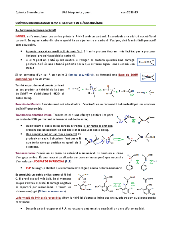 Miniatura del documento QUÍMICA BIOMOLECULAR TEMA 4 - ACID XIQUIMIC.pdf