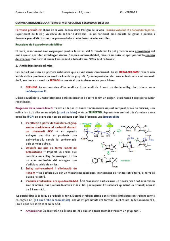 Miniatura del documento QUÍMICA BIOMOLECULAR TEMA 6 - METABOLISME DELS AMINOÀCIDS.pdf