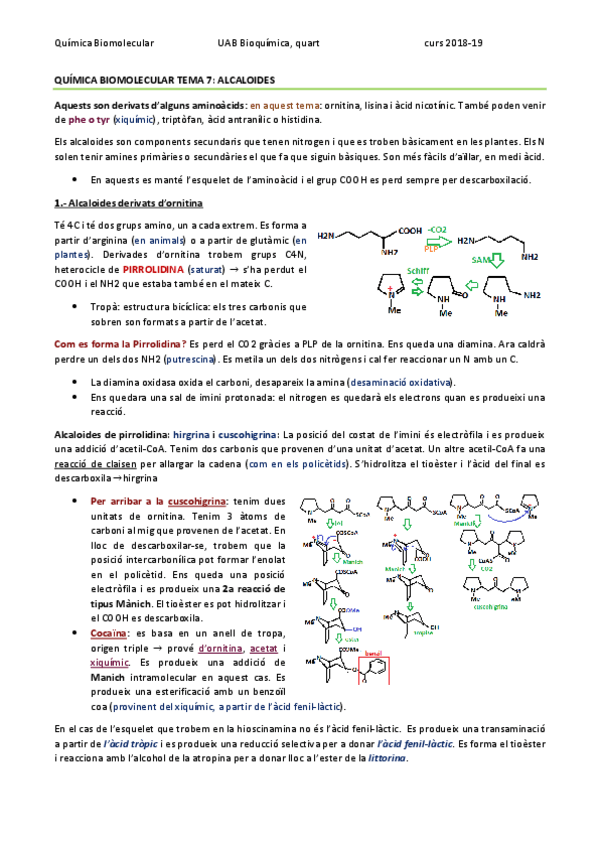 Miniatura del documento QUÍMICA BIOMOLECULAR TEMA 7 - ALCALOIDES.pdf