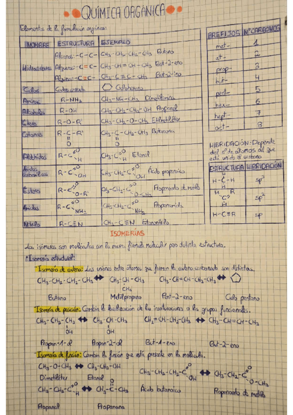 Miniatura del documento QUIMICA-ORGANICA.pdf