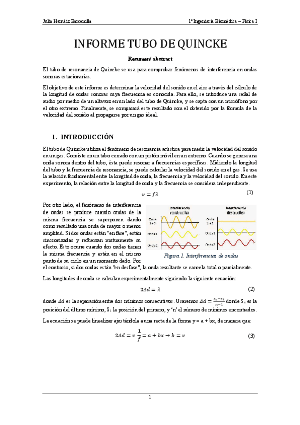 Miniatura del documento InformetuboQuincke.pdf