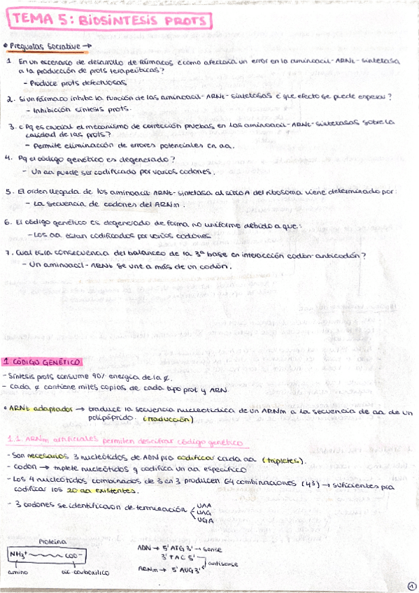 Miniatura del documento Tema-5-Biosintesis-de-proteinas.pdf