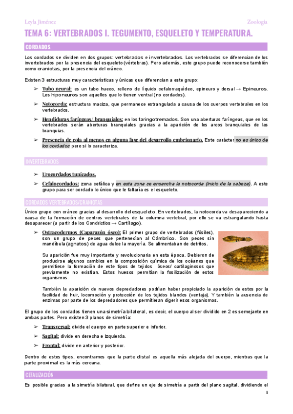 Miniatura del documento Zoologia-Tema-6.pdf