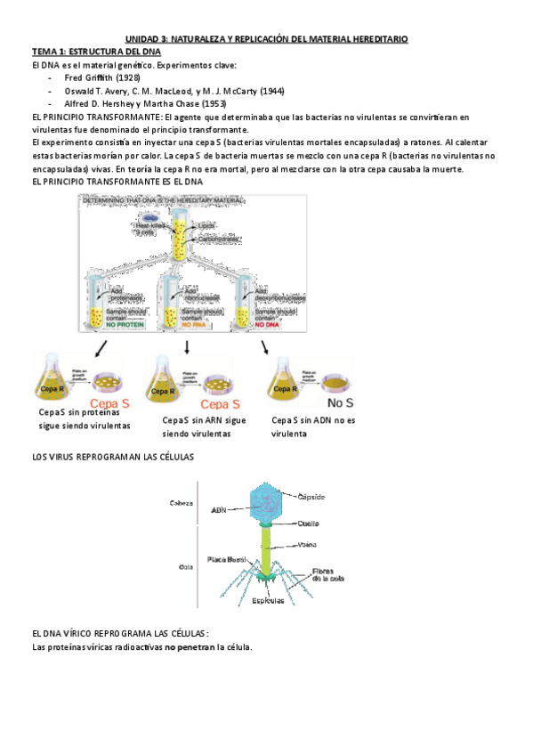 Miniatura del documento GENETICA-EXAMEN-2.pdf