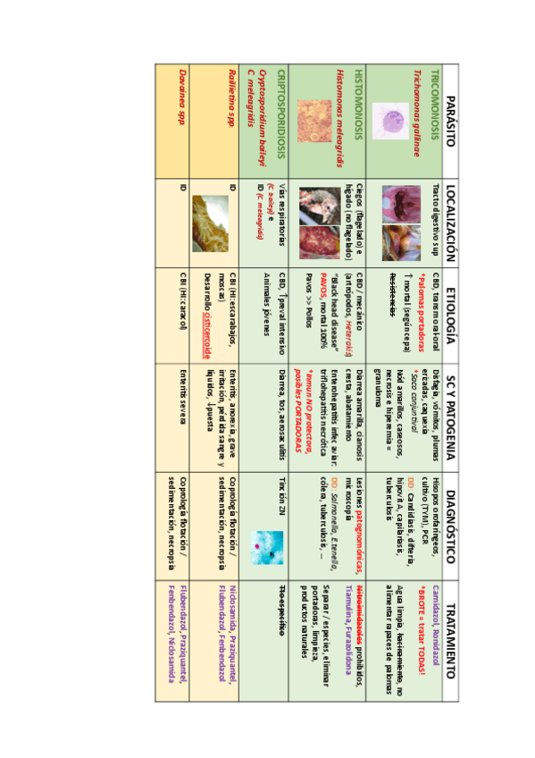 Miniatura del documento TABLA-PARASITARIAS-DIGESTIVO-II-AVES-2.pdf