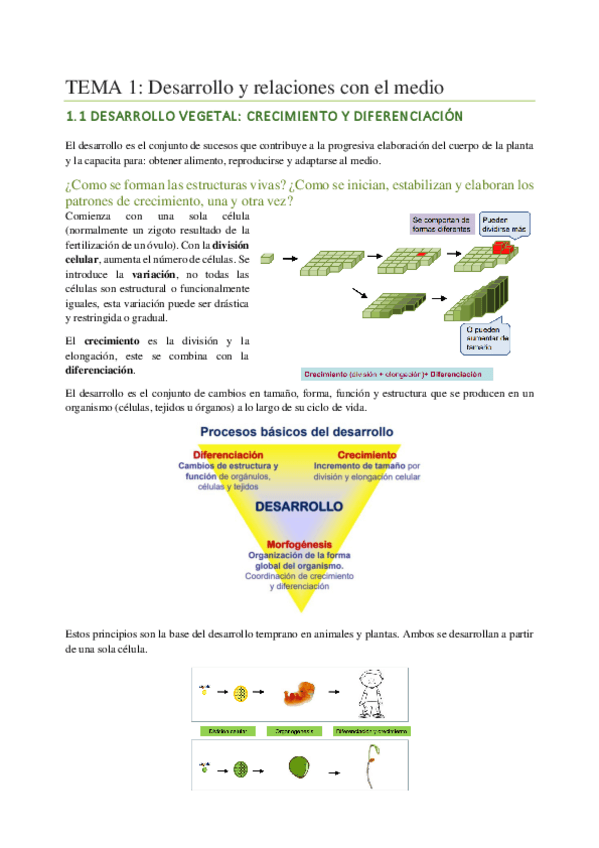 Miniatura del documento Fisiologia-vegetal.pdf