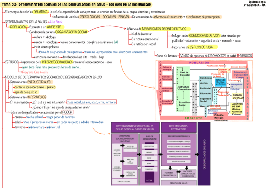 Miniatura del documento Tema-22-Epi.pdf