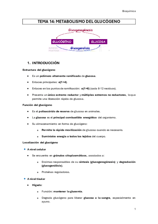 Miniatura del documento TEMA-14.pdf