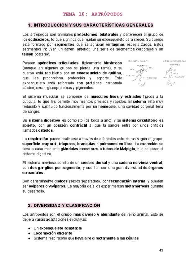 Miniatura del documento TEMA-10.pdf