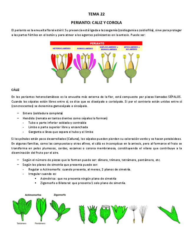 Miniatura del documento TEMA-22.pdf