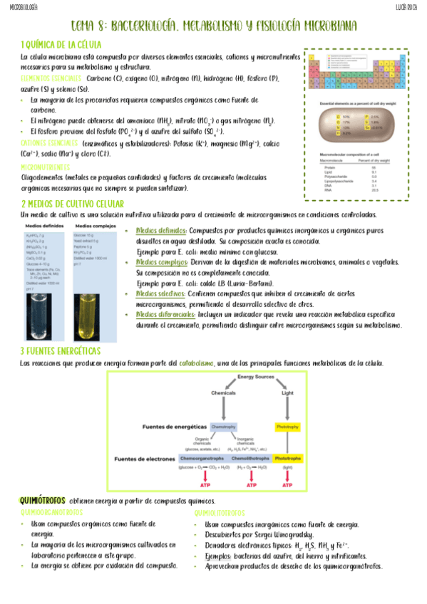 Miniatura del documento tema-8-micro.pdf