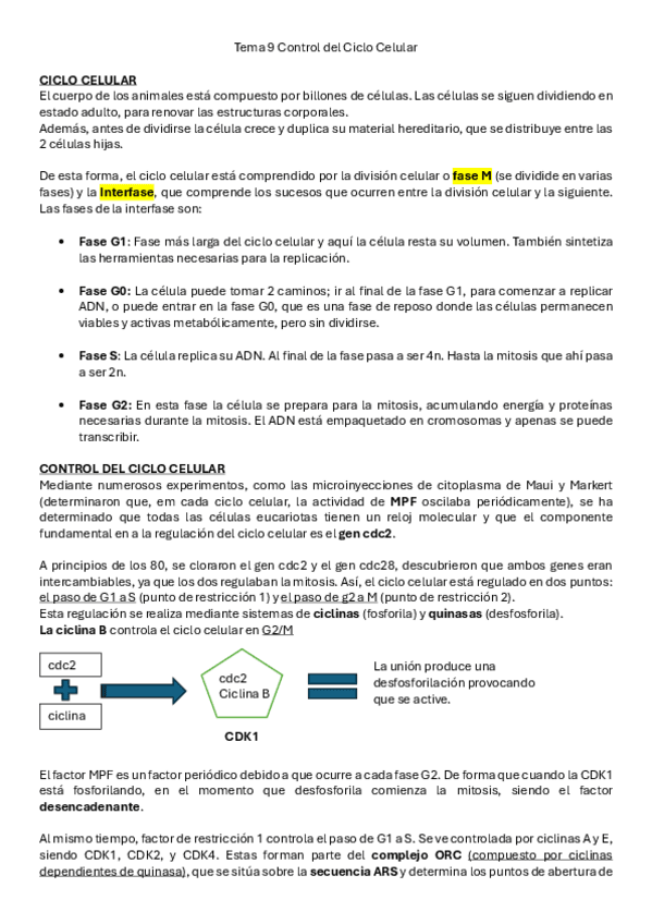 Miniatura del documento Tema-9-Control-del-Ciclo-Celular.pdf