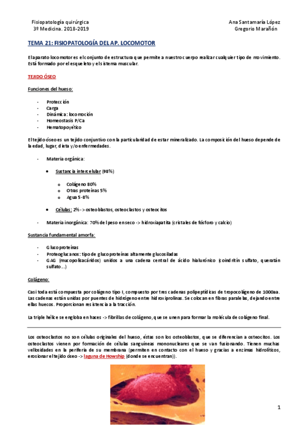 Miniatura del documento Tema 21 - Fisiopatología del aparato locomotor.pdf