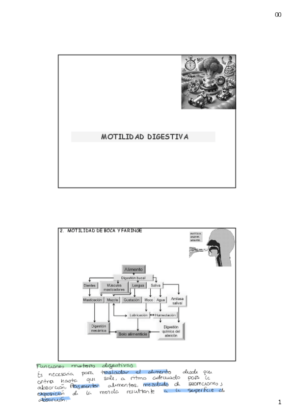 Miniatura del documento Motilidad-I-esofago-y-estomago.pdf