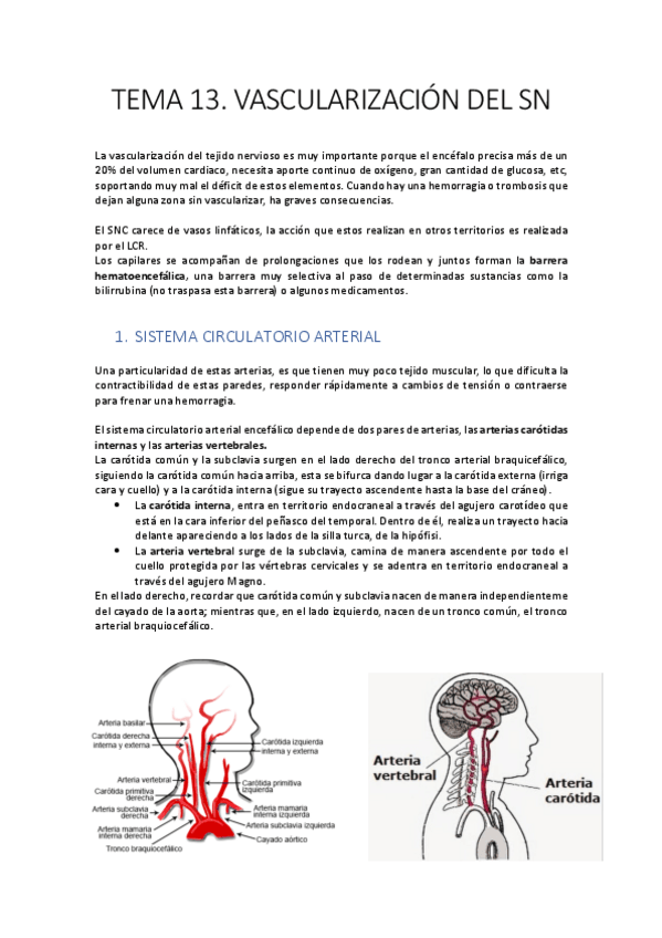 Miniatura del documento 13.-vascularizacion-SN.pdf