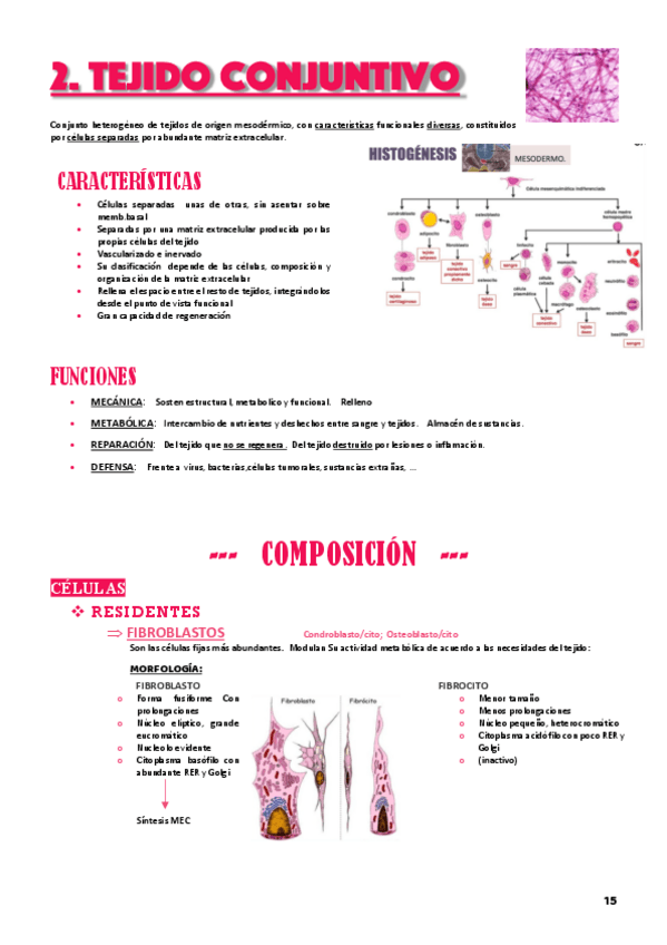 Miniatura del documento T2-tej-conjuntivo.pdf
