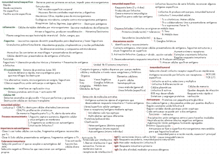 Miniatura del documento Esquema-Unidad-18-El-sistema-inmunitario-Biologia-Segundo-de-bachillerato.pdf