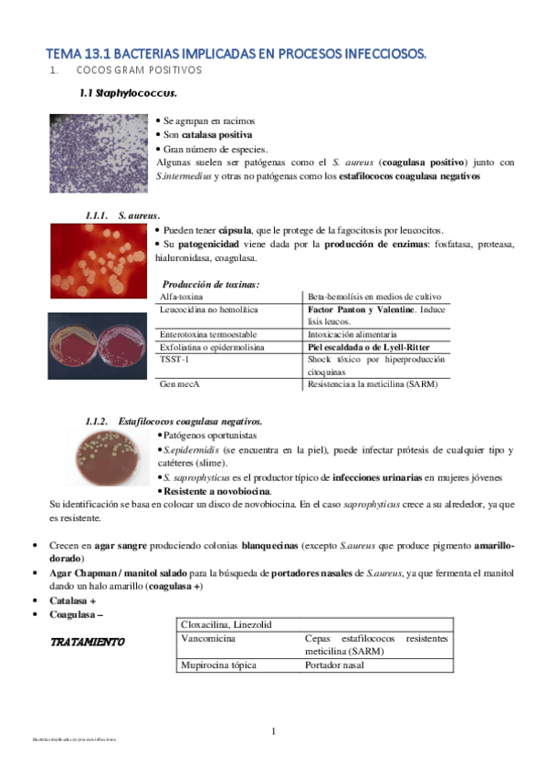 Miniatura del documento Bacterias-Infecciosas.pdf